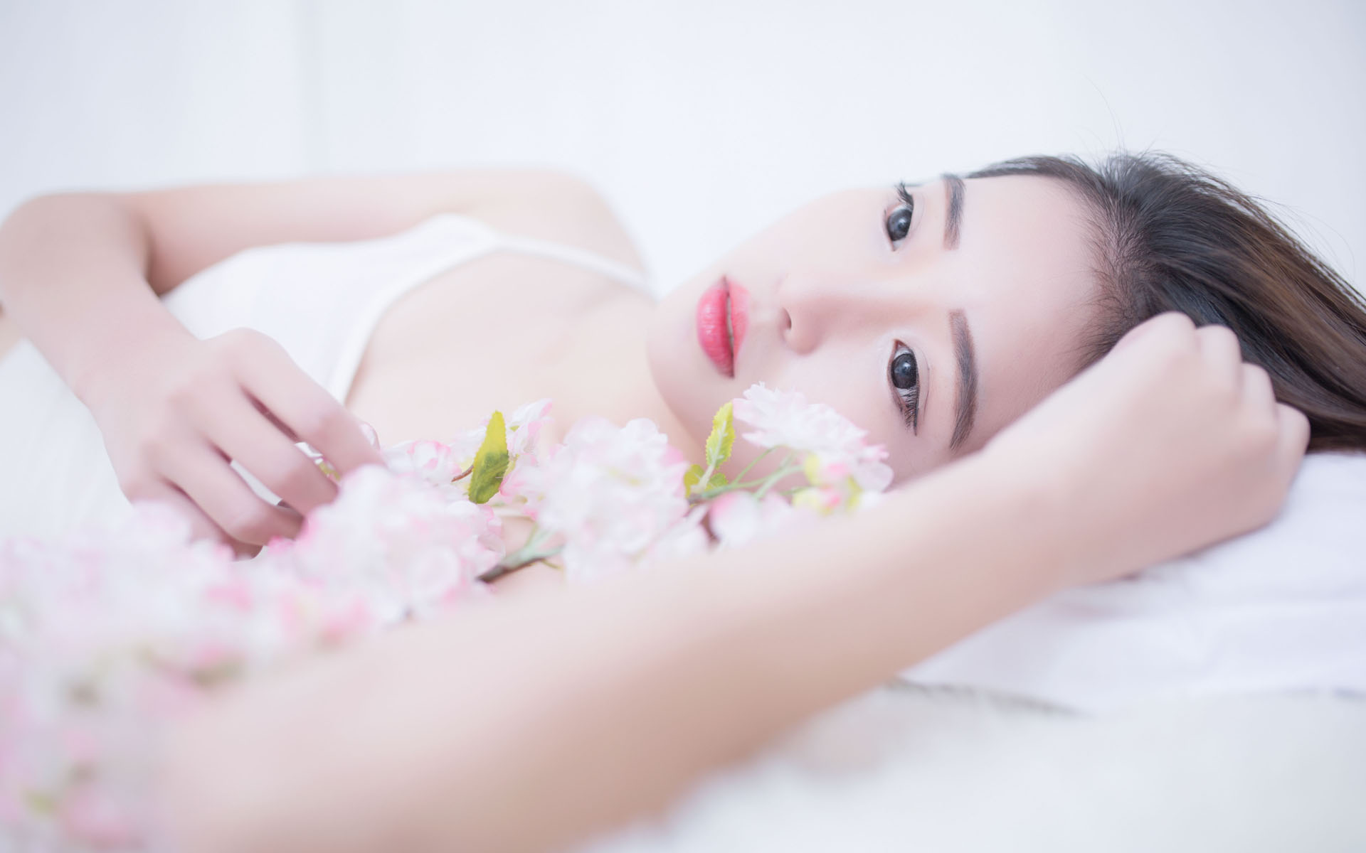 拓展合作新机遇 第八届进博会招商路演走进河北